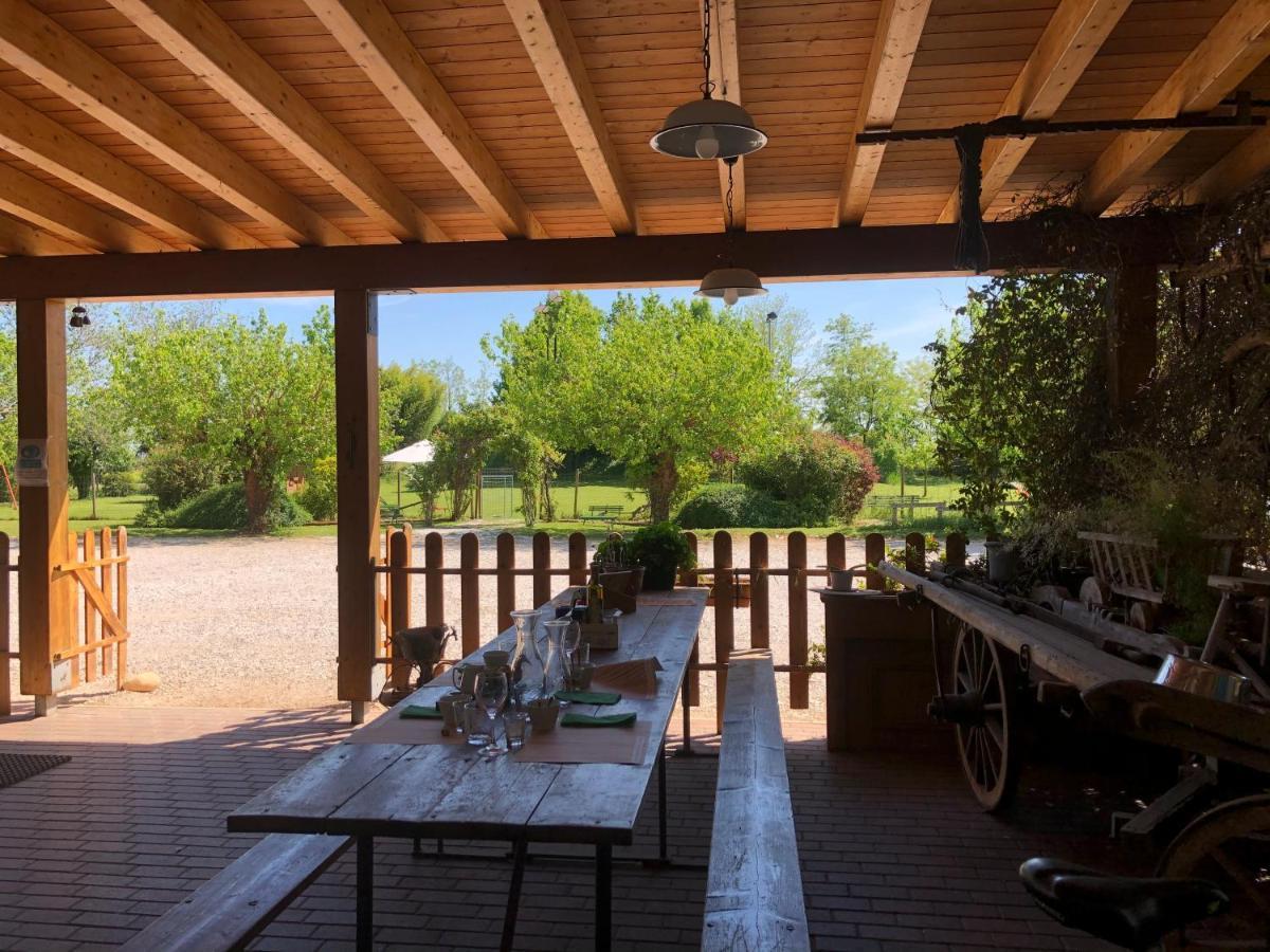 Agriturismo Il Podere Vedelago Con San Bernardo, Alpaca E Una Pentola Di Cose Da Scoprire Dış mekan fotoğraf