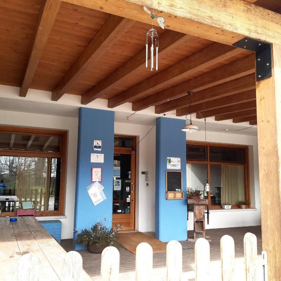 Agriturismo Il Podere Vedelago Con San Bernardo, Alpaca E Una Pentola Di Cose Da Scoprire Dış mekan fotoğraf