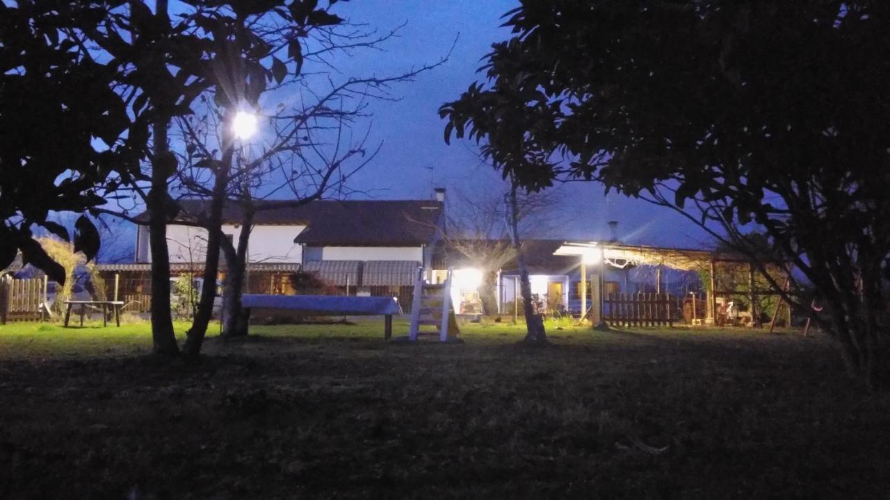 Agriturismo Il Podere Vedelago Con San Bernardo, Alpaca E Una Pentola Di Cose Da Scoprire Dış mekan fotoğraf