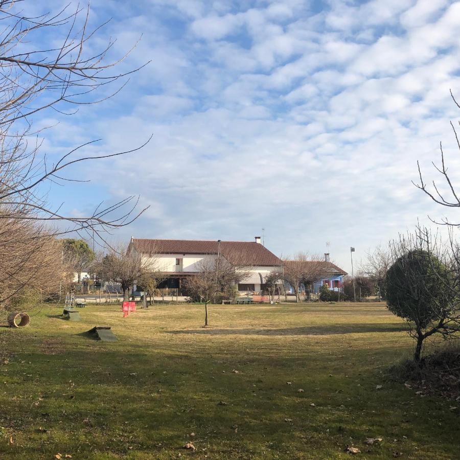 Agriturismo Il Podere Vedelago Con San Bernardo, Alpaca E Una Pentola Di Cose Da Scoprire Dış mekan fotoğraf