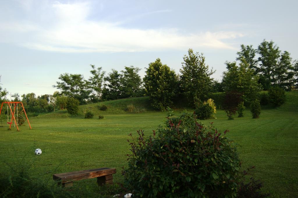 Agriturismo Il Podere Vedelago Con San Bernardo, Alpaca E Una Pentola Di Cose Da Scoprire Dış mekan fotoğraf