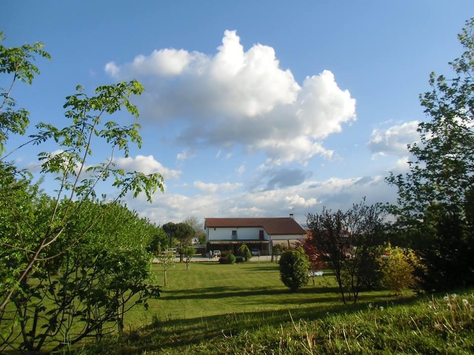Agriturismo Il Podere Vedelago Con San Bernardo, Alpaca E Una Pentola Di Cose Da Scoprire Dış mekan fotoğraf