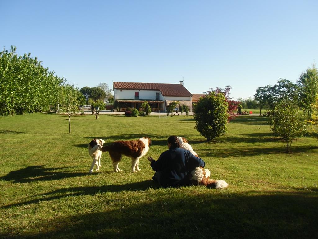 Agriturismo Il Podere Vedelago Con San Bernardo, Alpaca E Una Pentola Di Cose Da Scoprire Dış mekan fotoğraf